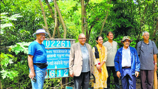 IIT-B alumni name trees after favourite profs in reforestation project IIT-B alumni name trees after favourite profs in reforestation project