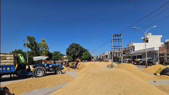 Paddy procurement held up at the grain market in Sangrur on Wednesday after commission agents went on strike against the Centre’s policies. (HT Photo) Paddy procurement held up at the grain market in Sangrur on Wednesday after commission agents went on strike against the Centre’s policies. (HT Photo)