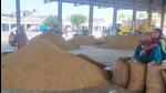 Since there was no procurement in the mandis of Haryana on Sunday, there were reports that the rice traders received a positive note from the government that their demand to bring the MEP to US $850 ( <span class='webrupee'>₹</span>70,788) was under active consideration. (HT Photo) Since there was no procurement in the mandis of Haryana on Sunday, there were reports that the rice traders received a positive note from the government that their demand to bring the MEP to US $850 ( <span class='webrupee'>₹</span>70,788) was under active consideration. (HT Photo)