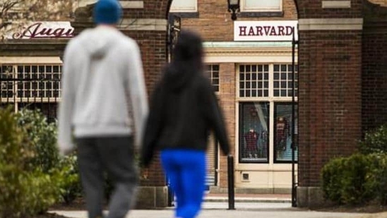 Returns were “mildly negative” in venture capital/growth investments and only slightly positive in private equity, Harvard said in a financial report. (Bloomberg) Returns were “mildly negative” in venture capital/growth investments and only slightly positive in private equity, Harvard said in a financial report. (Bloomberg)