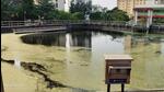 Untreated pollutants get released daily from Ghansoli STP Untreated pollutants get released daily from Ghansoli STP