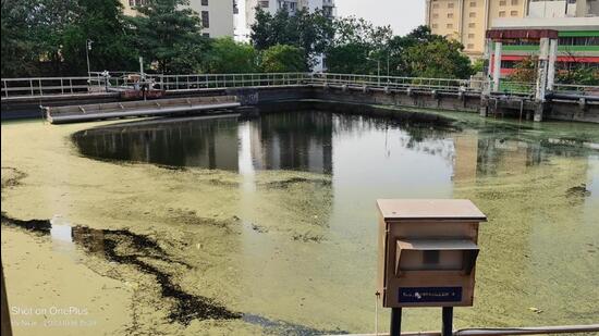 Untreated pollutants get released daily from Ghansoli STP Untreated pollutants get released daily from Ghansoli STP