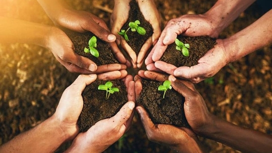 Green revolution(Representational photo/ Getty Images) Green revolution(Representational photo/ Getty Images)