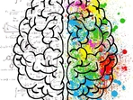Learning is a result of changes in the pattern of neural connectivity in the brain. Learning is a result of changes in the pattern of neural connectivity in the brain.