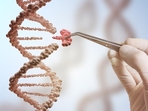 Genetic variations that cause rare, deadly illness: Research(Shutterstock) Genetic variations that cause rare, deadly illness: Research(Shutterstock)