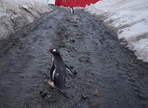 The world is currently headed for 2.5 to 2.9°C warming over the pre-industrial period. (CREDIT: AP) The world is currently headed for 2.5 to 2.9°C warming over the pre-industrial period. (CREDIT: AP)