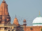 Over the years, multiple suits have been filed in the Krishna Janmabhoomi-Shahi Eidgah dispute in different courts of Mathura. (ANI) Over the years, multiple suits have been filed in the Krishna Janmabhoomi-Shahi Eidgah dispute in different courts of Mathura. (ANI)