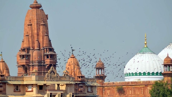 Over the years, multiple suits have been filed in the Krishna Janmabhoomi-Shahi Eidgah dispute in different courts of Mathura. (ANI) Over the years, multiple suits have been filed in the Krishna Janmabhoomi-Shahi Eidgah dispute in different courts of Mathura. (ANI)