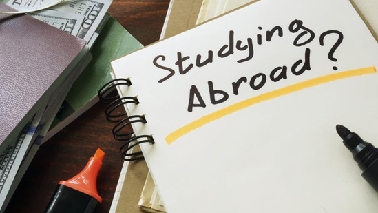 Don't chase university rankings - Rather do intensive research on the top universities for your intended area of study.(Getty Images/iStockphoto) Don't chase university rankings - Rather do intensive research on the top universities for your intended area of study.(Getty Images/iStockphoto)