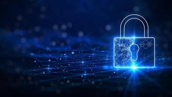 Cyber security (File image) Cyber security (File image)
