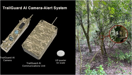 What TrailGuard AI looks like( The study titled Mitigating human–wildlife conflict and monitoring endangered tigers using a real-time camera-based alert system.) What TrailGuard AI looks like( The study titled Mitigating human–wildlife conflict and monitoring endangered tigers using a real-time camera-based alert system.)