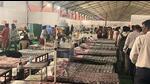 1,300 reported sick during MTHL inauguration event 1,300 reported sick during MTHL inauguration event