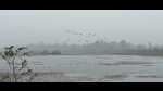 The Samdha Lake in Ayodhya (Gaurav Saigal) The Samdha Lake in Ayodhya (Gaurav Saigal)