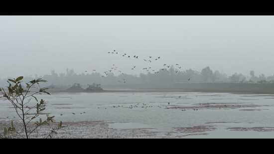The Samdha Lake in Ayodhya (Gaurav Saigal)