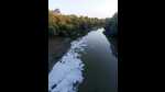 Chemical effluents in water bodies worry Navi Mumbai residents Chemical effluents in water bodies worry Navi Mumbai residents