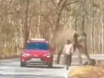 2 men try to click selfie, narrowly escape Elephant attack in Bandipur forest 2 men try to click selfie, narrowly escape Elephant attack in Bandipur forest