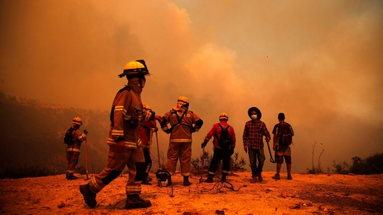 Firefighters work on the zone of a forest fire in the hills in Quilpe comune, Valparaiso region in Chile. (AFP)