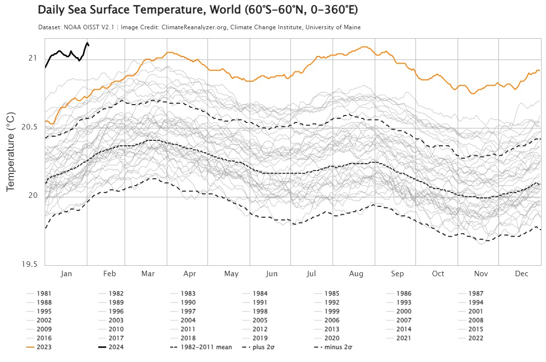 Mass bleaching events are strongly correlated with increased sea surface temperatures of 1°C or more above average. At the beginning of the year, the temperature has already spiked to 0.8°C above the pre-industrial average. (Credit: ClimateReanalyser) Mass bleaching events are strongly correlated with increased sea surface temperatures of 1°C or more above average. At the beginning of the year, the temperature has already spiked to 0.8°C above the pre-industrial average. (Credit: ClimateReanalyser)