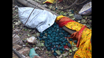 Explosive material at the site after a blast in a firecracker factory in Harda town, Madhya Pradesh on Tuesday (ANI) Explosive material at the site after a blast in a firecracker factory in Harda town, Madhya Pradesh on Tuesday (ANI)