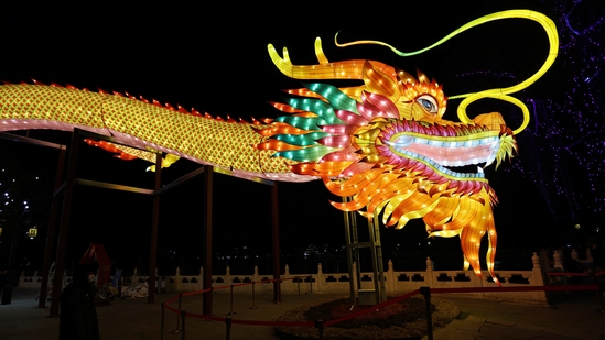 A man stands next to a dragon installation ahead of the Lunar New Year in Beijing, China February 7, 2024. (REUTERS)