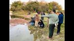 Turtles being released into the Gomti river. (HT) Turtles being released into the Gomti river. (HT)