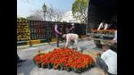 IGP being decked up with approximately 50k flowers of different varieties brought from across India, but mainly Bhimtal (HT Photo) IGP being decked up with approximately 50k flowers of different varieties brought from across India, but mainly Bhimtal (HT Photo)