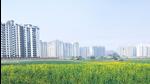 The NBCC decided to launch the scheme after the Greater Noida authority gave its approval to increase floor area ratio (so that NBCC can build taller housing towers) from existing 2.75 to 3.5. (Representative image) The NBCC decided to launch the scheme after the Greater Noida authority gave its approval to increase floor area ratio (so that NBCC can build taller housing towers) from existing 2.75 to 3.5. (Representative image)