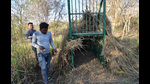 The forest department has deployed two teams and a cage to trap an adult leopard which was sighted near Madhuban Bapudham in Ghaziabad recently. (Sakib Ali /HT Photo) The forest department has deployed two teams and a cage to trap an adult leopard which was sighted near Madhuban Bapudham in Ghaziabad recently. (Sakib Ali /HT Photo)