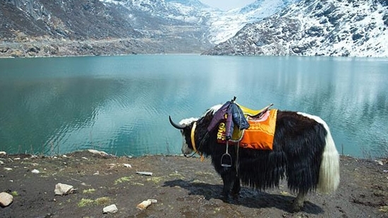 The picturesque Tsomgo Lake in Sikkim (Representational picture)(File photo) The picturesque Tsomgo Lake in Sikkim (Representational picture)(File photo)