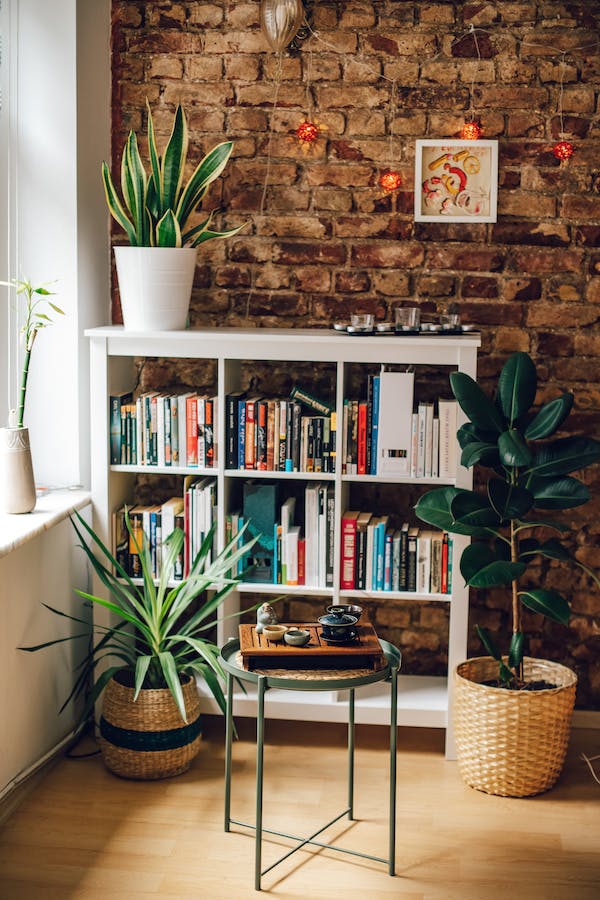 Use plants to accentuate the bookshelf area (Pexels) Use plants to accentuate the bookshelf area (Pexels)