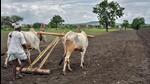 While returning the land, an FSI of 2 has been sanctioned for these plots free-of-charge. However, landowners will be provided compensation only if they withdraw all petitions and cases filed in court. (REPRESENTATIVE PHOTO) While returning the land, an FSI of 2 has been sanctioned for these plots free-of-charge. However, landowners will be provided compensation only if they withdraw all petitions and cases filed in court. (REPRESENTATIVE PHOTO)