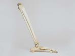 The increased fracture risk linked to previous falls was largely independent of bone mineral density, emphasising the standalone significance of falls as a risk factor.(Yahoo) The increased fracture risk linked to previous falls was largely independent of bone mineral density, emphasising the standalone significance of falls as a risk factor.(Yahoo)