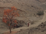 Marching in the Dark premiered at Cph: Docx. Marching in the Dark premiered at Cph: Docx.