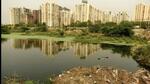 The green court has appointed an amicus curiae to look into the state of water bodies in Gautam Budh Nagar, visit the relevant sites, seek the information/documents from the authorities concerned and verify the factual position regarding the remedial measures taken and suggest further remedial measures, if any, needed to revive water bodies. (HT Archive) The green court has appointed an amicus curiae to look into the state of water bodies in Gautam Budh Nagar, visit the relevant sites, seek the information/documents from the authorities concerned and verify the factual position regarding the remedial measures taken and suggest further remedial measures, if any, needed to revive water bodies. (HT Archive)