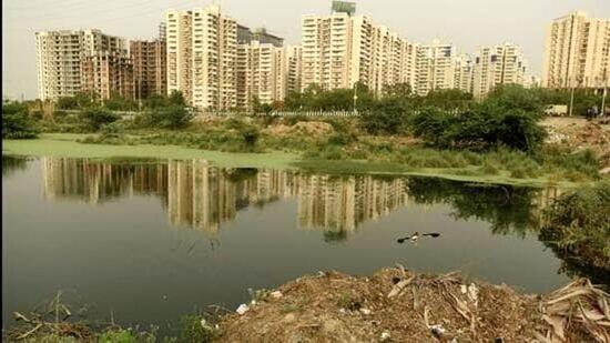 The green court has appointed an amicus curiae to look into the state of water bodies in Gautam Budh Nagar, visit the relevant sites, seek the information/documents from the authorities concerned and verify the factual position regarding the remedial measures taken and suggest further remedial measures, if any, needed to revive water bodies. (HT Archive) The green court has appointed an amicus curiae to look into the state of water bodies in Gautam Budh Nagar, visit the relevant sites, seek the information/documents from the authorities concerned and verify the factual position regarding the remedial measures taken and suggest further remedial measures, if any, needed to revive water bodies. (HT Archive)