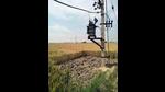 PSPCL advised farmers to create a buffer of 10 meters around poles to avert a disaster. (HT photo) PSPCL advised farmers to create a buffer of 10 meters around poles to avert a disaster. (HT photo)