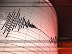 There were no immediate reports of damage or injuries after the earthquake. (File) There were no immediate reports of damage or injuries after the earthquake. (File)
