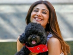 Actor Shilpa Shetty Kundra poses exclusively for HT City Actor Shilpa Shetty Kundra poses exclusively for HT City