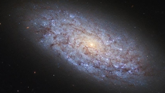 ESA Gaia mission has found a black hole that defies explanation.(Representational Photo) ESA Gaia mission has found a black hole that defies explanation.(Representational Photo)