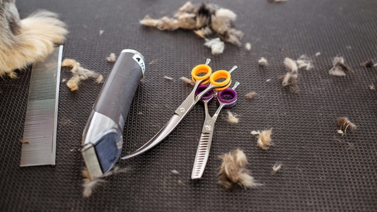 Best trimmer for men: A good trimmer is an effective grooming tool for men. (Pexels) Best trimmer for men: A good trimmer is an effective grooming tool for men. (Pexels)