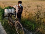 PM KISAN scheme: The 16th installment was released in February and the 17th installment is expected any time in May. (PTI) PM KISAN scheme: The 16th installment was released in February and the 17th installment is expected any time in May. (PTI)