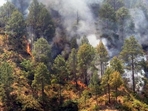 A forest fire in Uttarakhand.(HT File) A forest fire in Uttarakhand.(HT File)