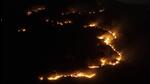 The FSI data shows that close to 80% of the forest fires in April started after middle of the month. (ANI) The FSI data shows that close to 80% of the forest fires in April started after middle of the month. (ANI)