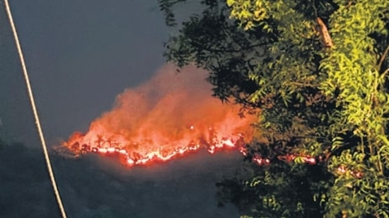 Uttarakhand Chief Minister Pushkar Singh Dhami on Monday said that action would be taken against the officers who are responsible for the Uttarakhand forest fire.(PTI)