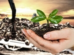 Green energy (photo/Shutterstock) Green energy (photo/Shutterstock)