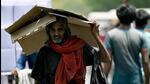 A man takes shelter under a cardboard sheet from the scorching sun on a hot summer afternoon in New Delhi on May 3. (AFP) A man takes shelter under a cardboard sheet from the scorching sun on a hot summer afternoon in New Delhi on May 3. (AFP)