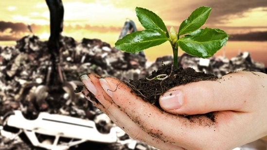 Green energy (photo/Shutterstock) Green energy (photo/Shutterstock)