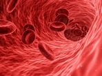 In the roughly 50% of people with type O, the sugars are harmless, allowing their blood to be transfused into any needy body(Pixabay) In the roughly 50% of people with type O, the sugars are harmless, allowing their blood to be transfused into any needy body(Pixabay)
