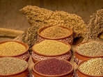 The year 2023 has indeed been special for millets as The United Nations General Assembly at its 75th session in March 2021 declared it the International Year of Millets (IYM 2023). (Pinterest) The year 2023 has indeed been special for millets as The United Nations General Assembly at its 75th session in March 2021 declared it the International Year of Millets (IYM 2023). (Pinterest)