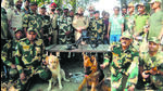 Sultan (labrador, left) is part of the BSF in Punjab and alerts the force about drones that usually carry cash or contraband. (HT PHOTO) Sultan (labrador, left) is part of the BSF in Punjab and alerts the force about drones that usually carry cash or contraband. (HT PHOTO)